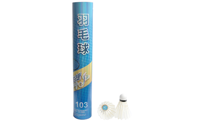 Shengjie 103 Entertainment Badminton
