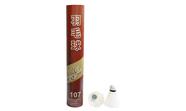 Shengjie 107 Entertainment Badminton